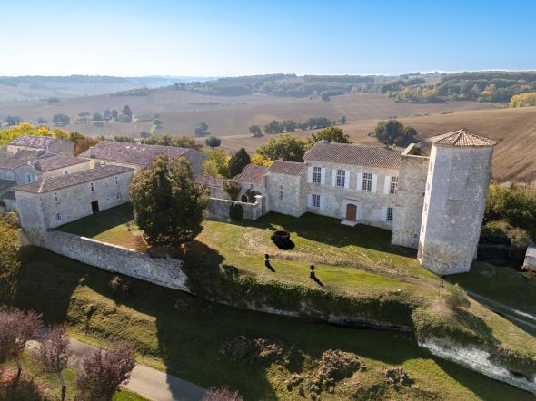 Vente Château Larroque-Engalin 12 Pièces 410 m²