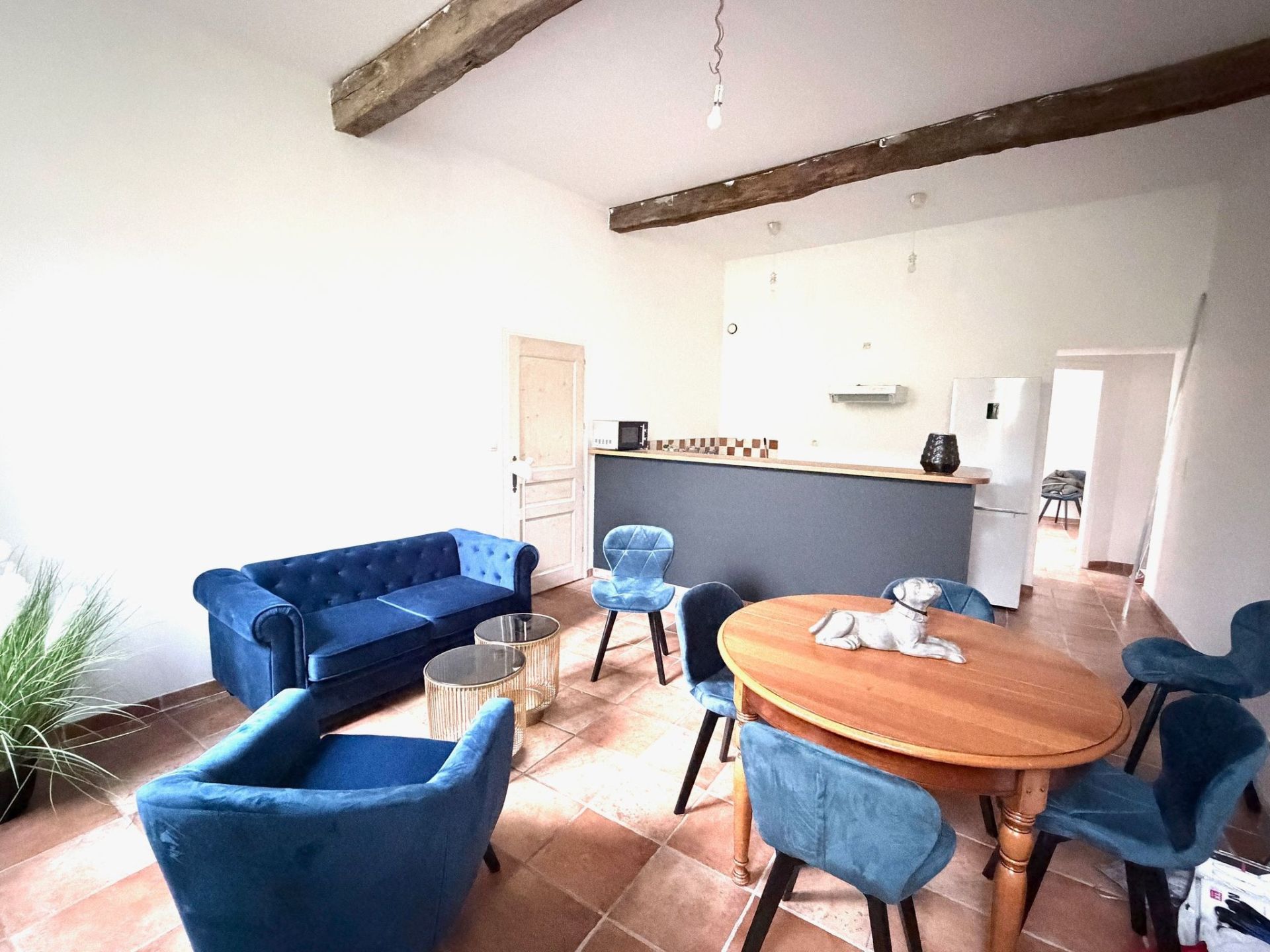 appartement 3 Pièces en location sur LAVAUR (81500)