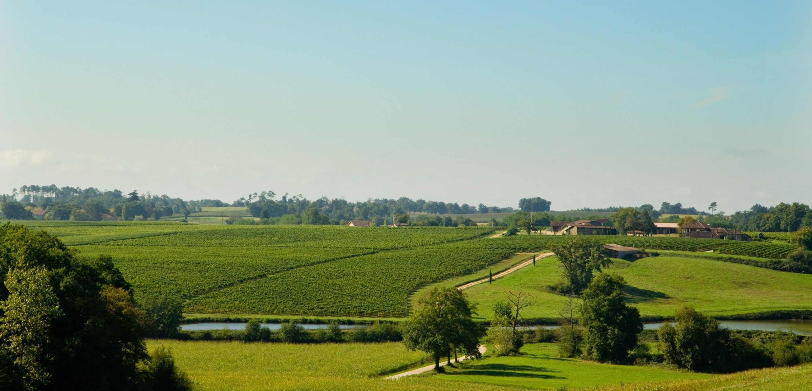 propriété viticole 15 Pièces en vente sur MAULEON D ARMAGNAC (32240)