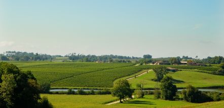 propriété viticole 15 Pièces en vente sur MAULEON D ARMAGNAC (32240)