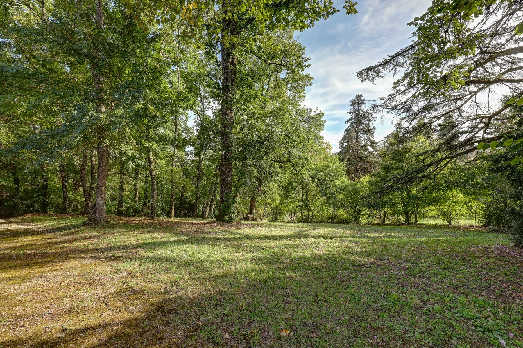 maison 14 Pièces en vente sur VERFEIL (31590)