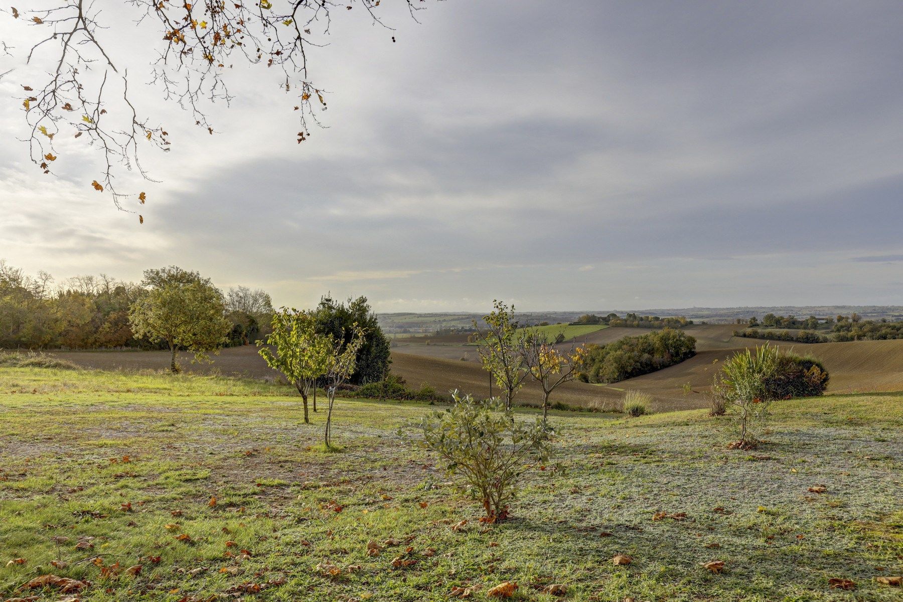 maison 5 Pièces en vente sur LAVAUR (81500)
