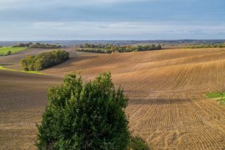 maison 5 Pièces en vente sur LAVAUR (81500)