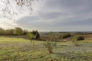 maison 5 Pièces en vente sur LAVAUR (81500)