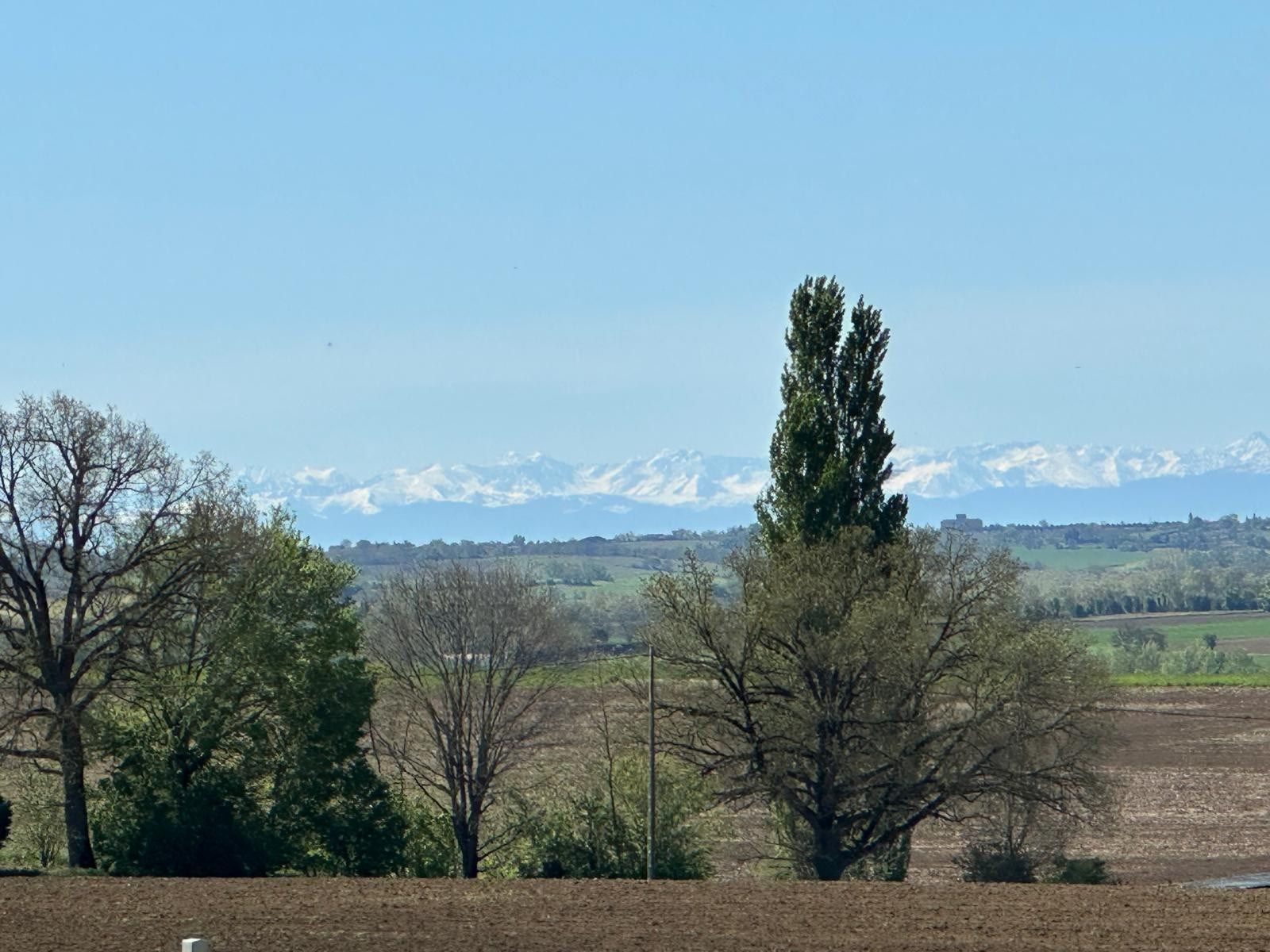 propriété 10 Pièces en vente sur VERFEIL (31590)