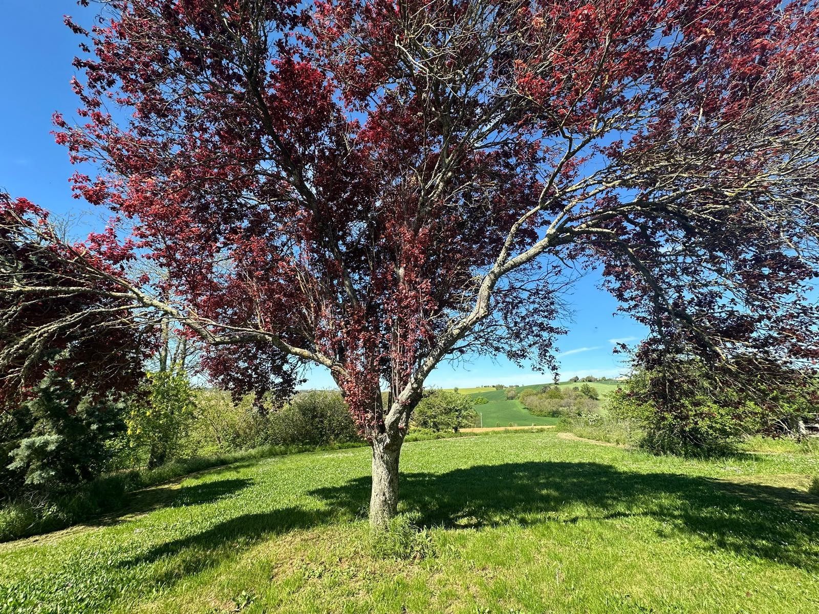 propriété 10 Pièces en vente sur VERFEIL (31590)