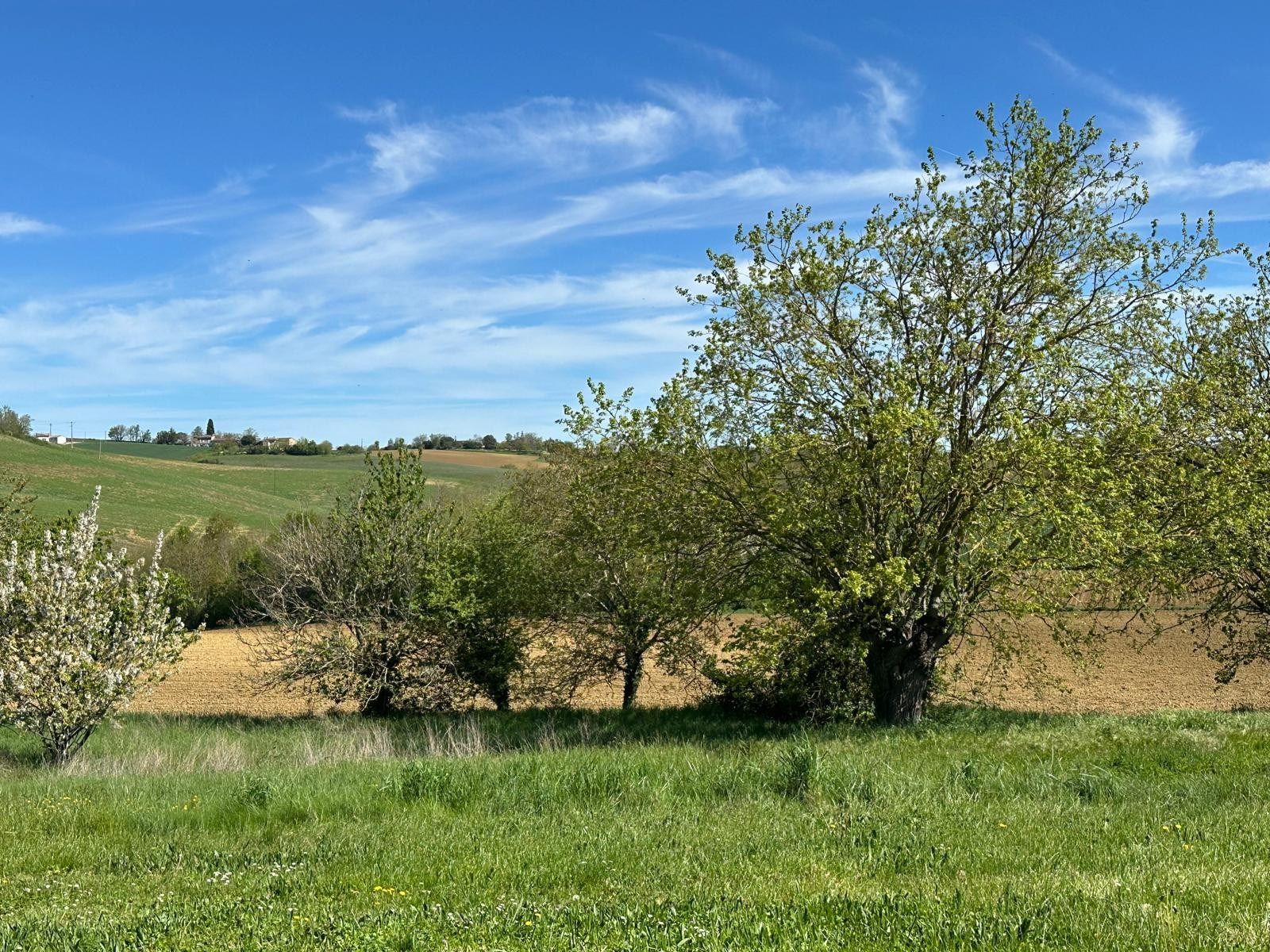 propriété 10 Pièces en vente sur VERFEIL (31590)