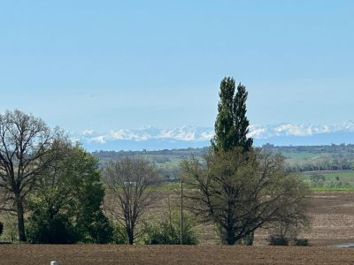 Vente Propriété Verfeil 10 Pièces 350 m²