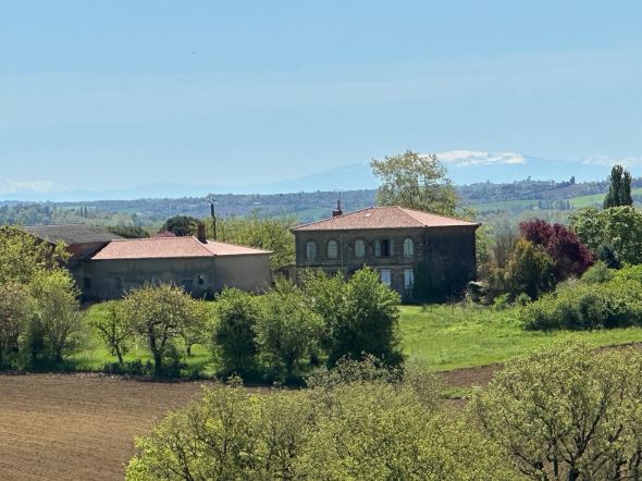 Vente Propriété Verfeil 10 Pièces 350 m²