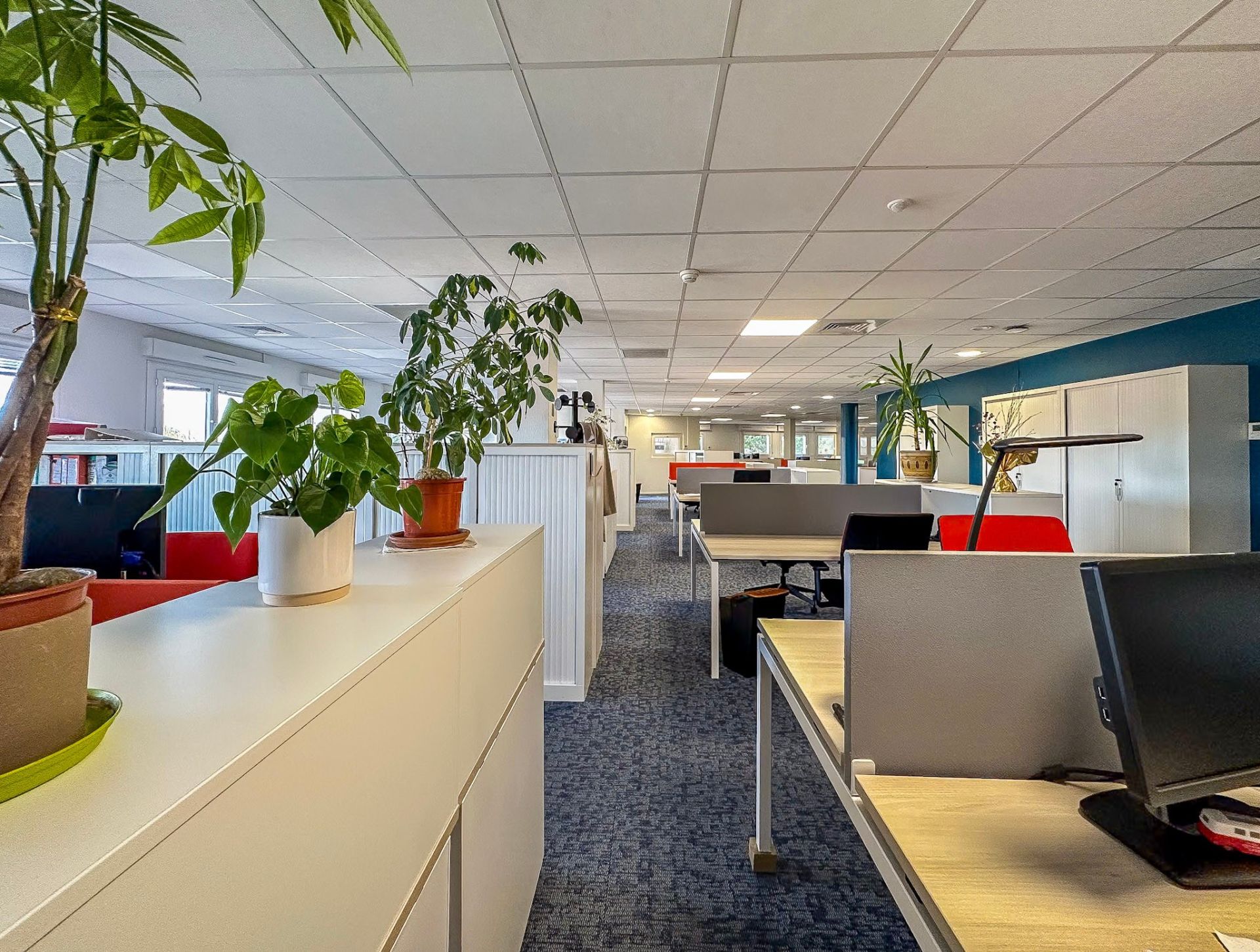 bureaux en vente sur CASTRES (81100)