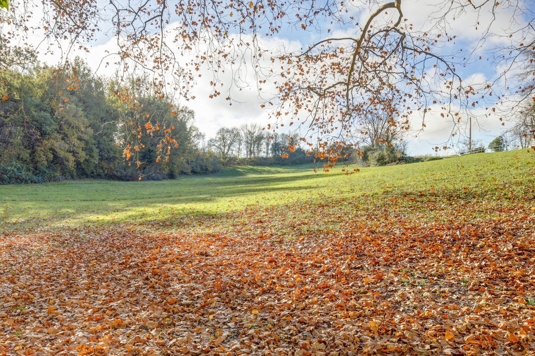 maison 12 Pièces en vente sur PUYLAURENS (81700)