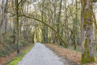 maison 12 Pièces en vente sur PUYLAURENS (81700)