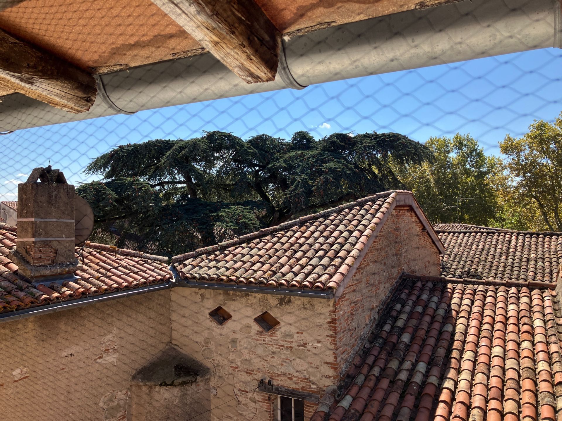 apartment 4 Rooms for rent on LAVAUR (81500)