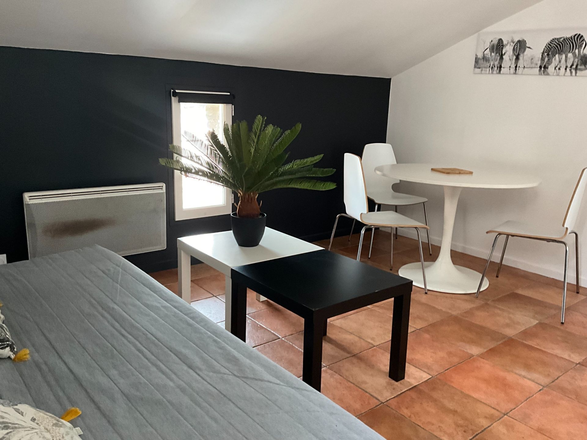 studio for rent on LAVAUR (81500)