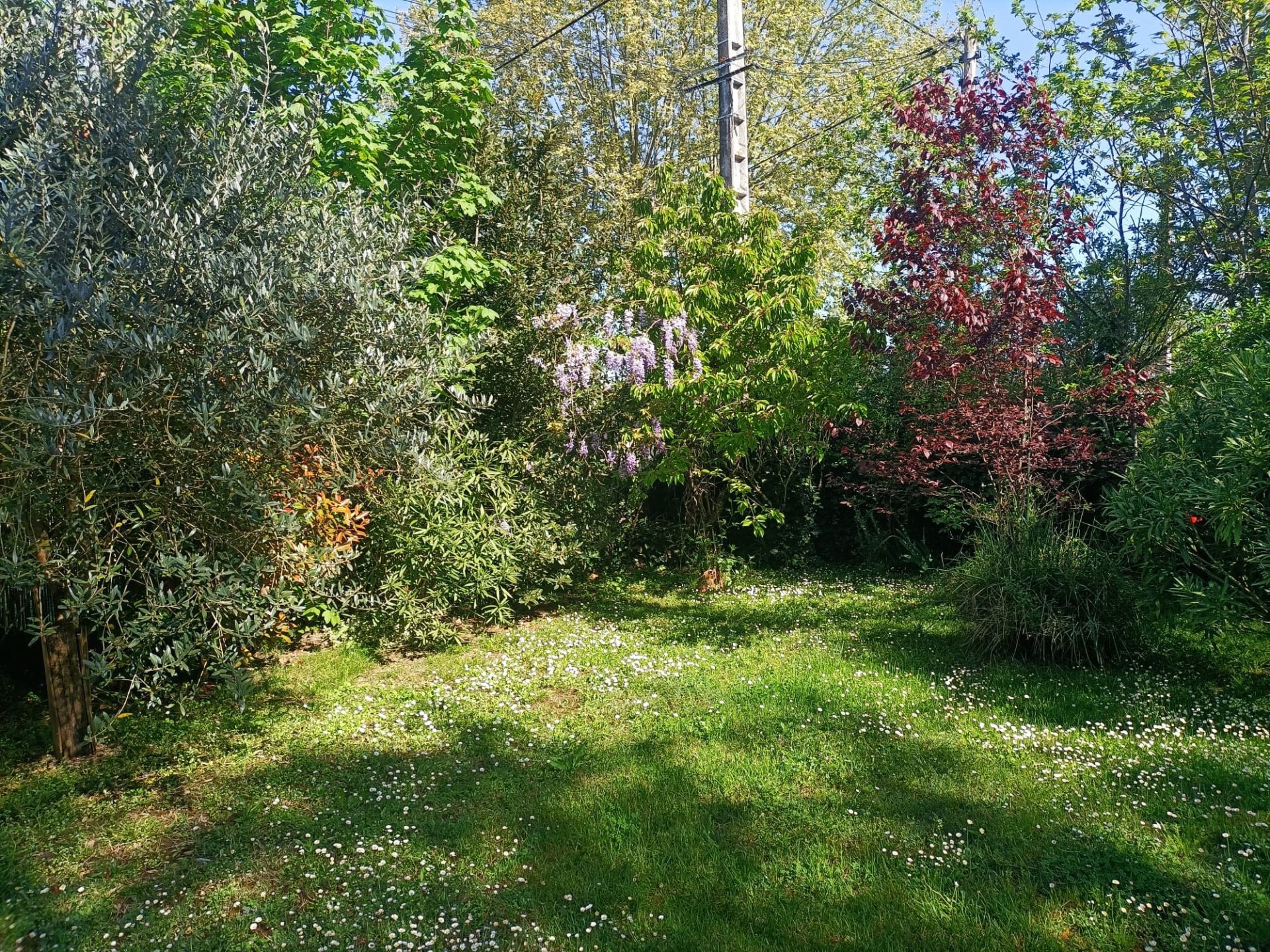 house 7 Rooms for sale on LAVAUR (81500)