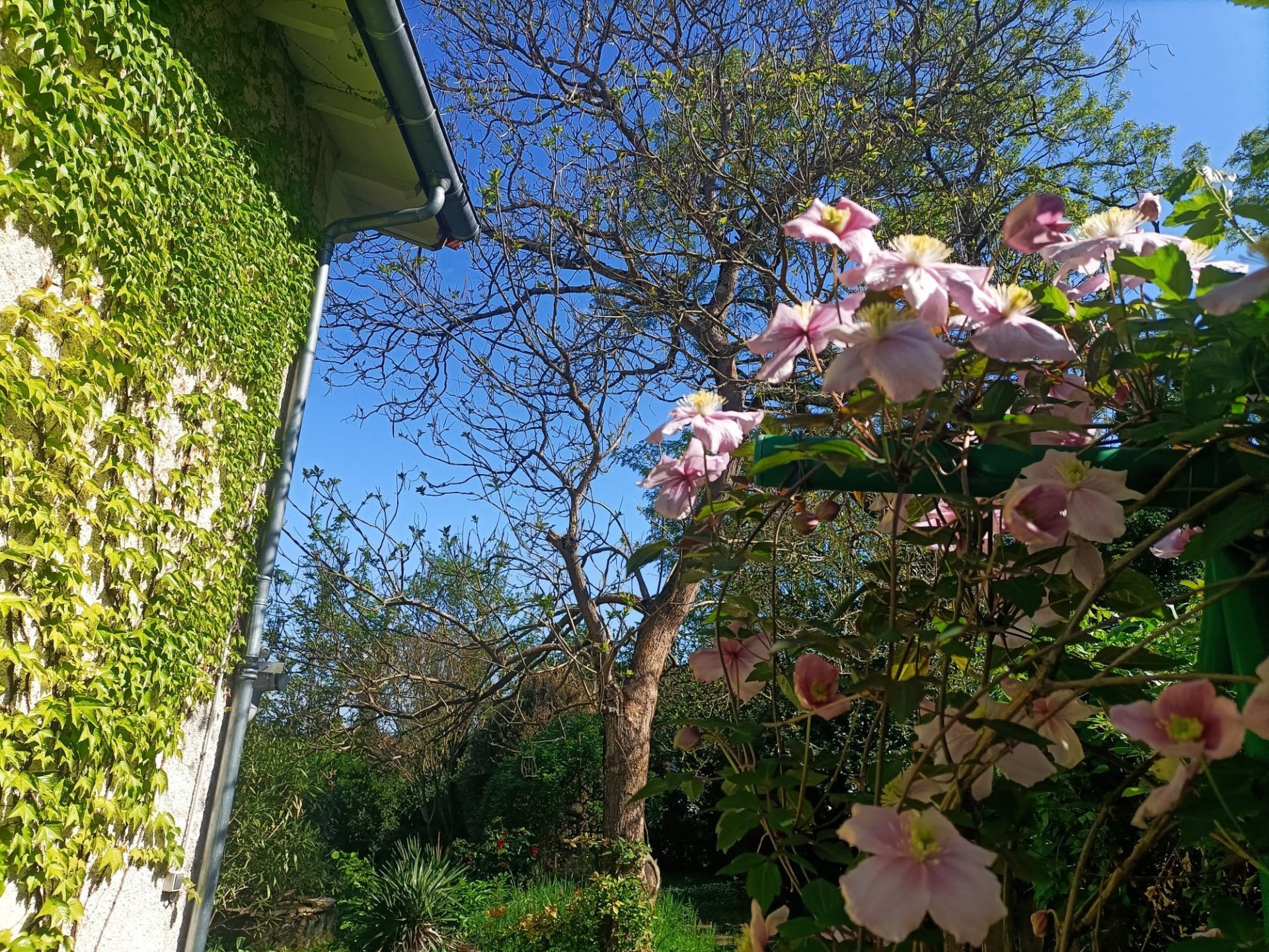 house 7 Rooms for sale on LAVAUR (81500)