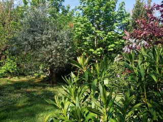 house 7 Rooms for sale on LAVAUR (81500)