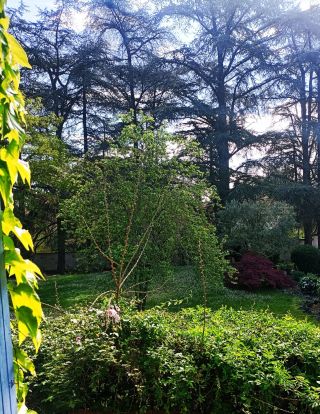 house 7 Rooms for sale on LAVAUR (81500)