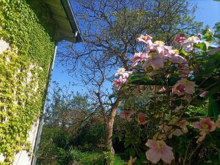 house 7 Rooms for sale on LAVAUR (81500)