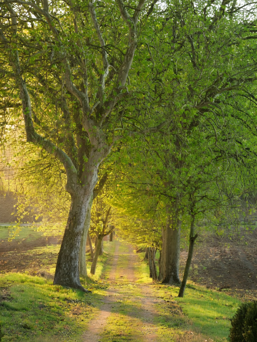 maison 8 Pièces en vente sur SOLOMIAC (32120)