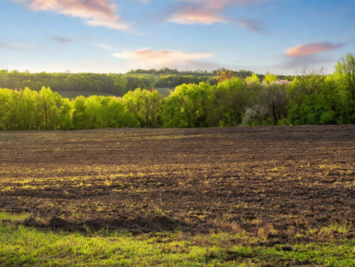 maison 8 Pièces en vente sur SOLOMIAC (32120)