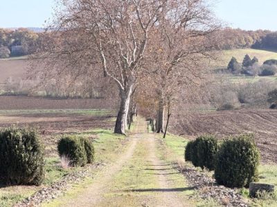 Vente Maison Solomiac 8&nbsp;Pièces 280&nbsp;m²