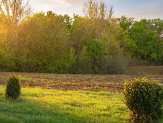 maison 8 Pièces en vente sur SOLOMIAC (32120)