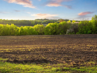 maison 8 Pièces en vente sur SOLOMIAC (32120)