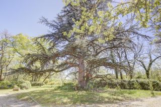 maison de maître 7 Pièces en vente sur CASTRES (81100)