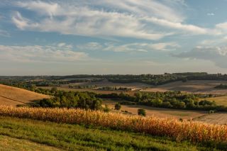 maison 9 Pièces en vente sur LECTOURE (32700)