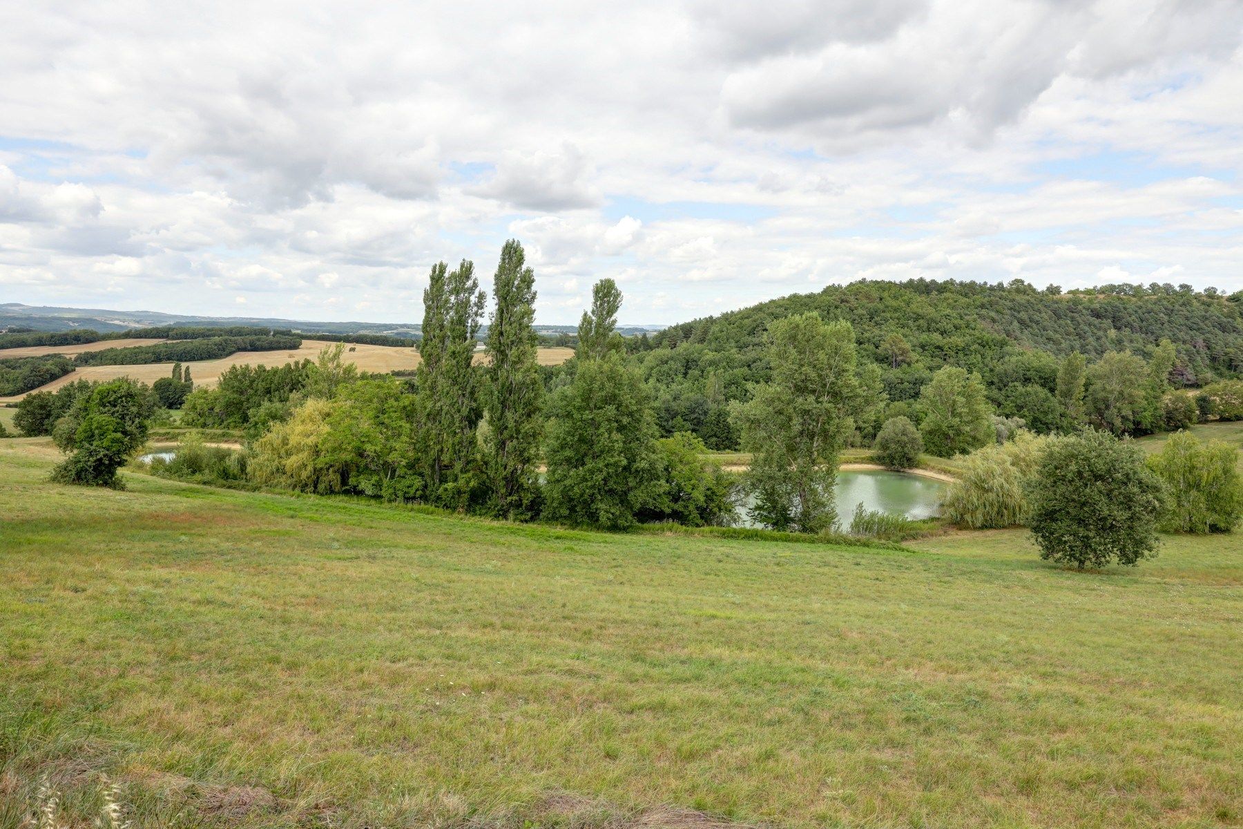 house 12 Rooms for sale on CASTELNAU DE MONTMIRAL (81140)