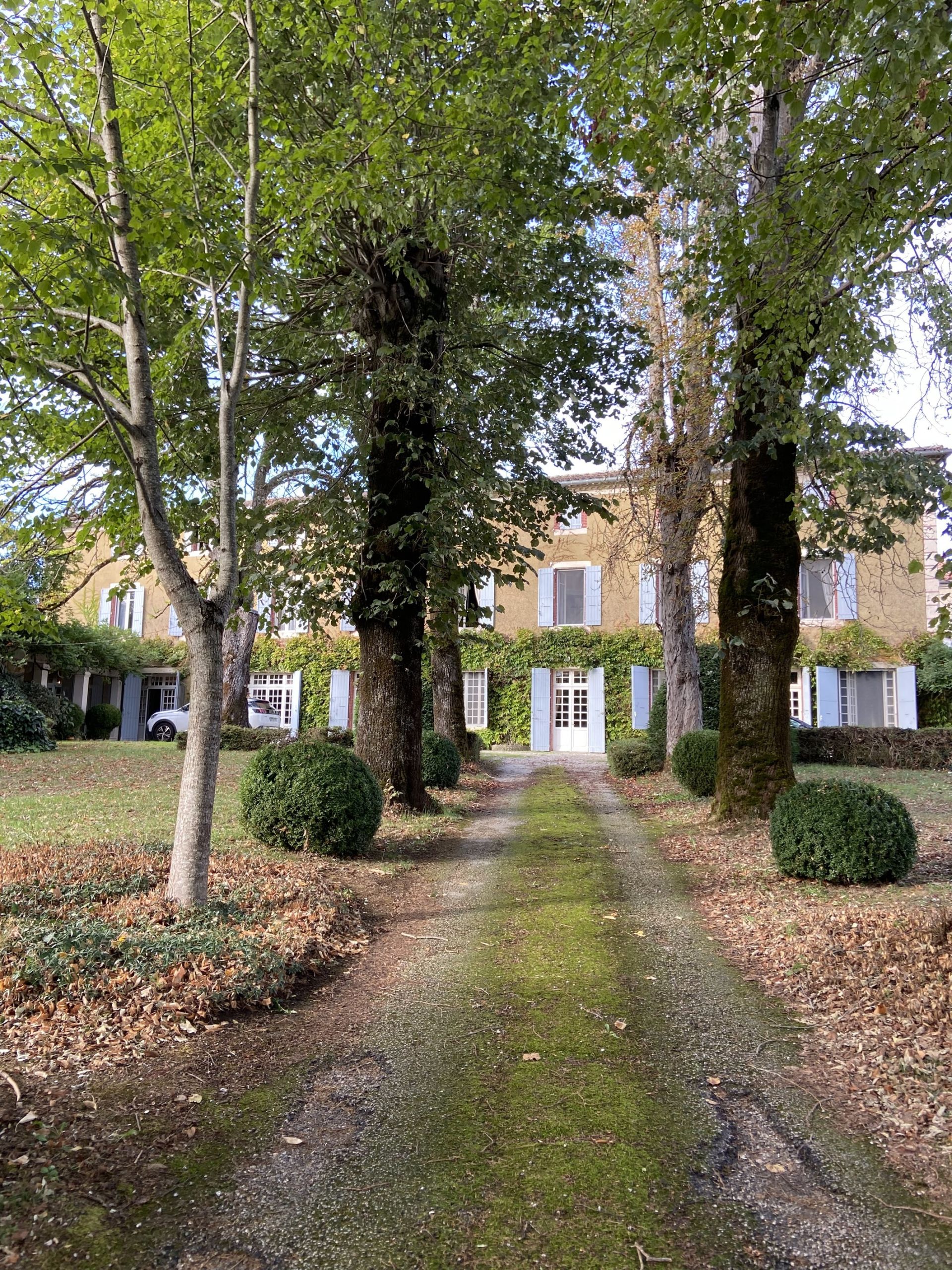 maison 16 Pièces en vente sur CASTRES (81100)