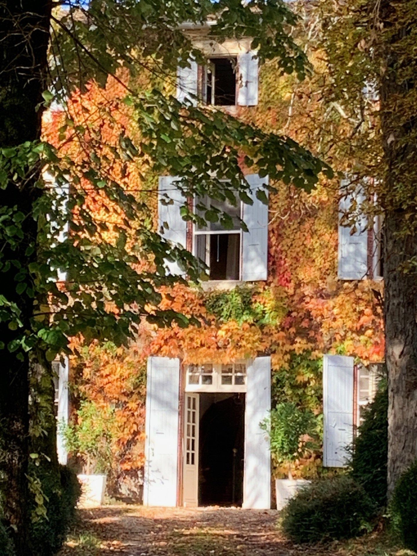 maison 16 Pièces en vente sur CASTRES (81100)