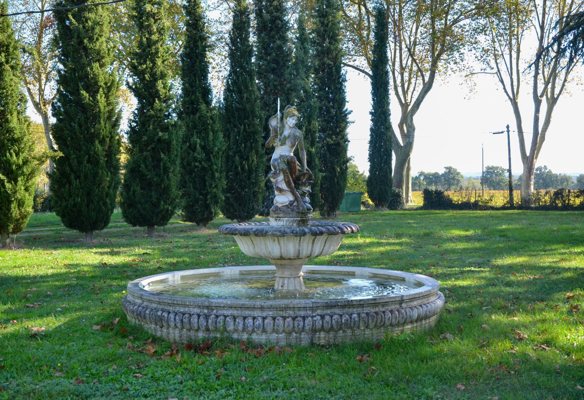 manor house 23 Rooms for sale on RABASTENS (81800)