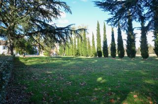 manor house 23 Rooms for sale on RABASTENS (81800)