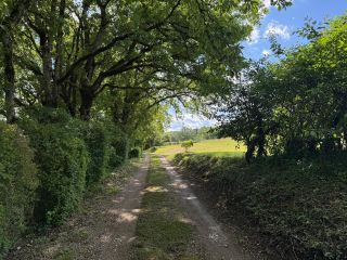 ferme 5 Pièces en vente sur GAILLAC (81600)