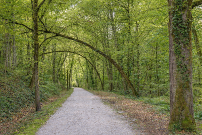 Sale House Puylaurens 12&nbsp;Rooms 482&nbsp;m²