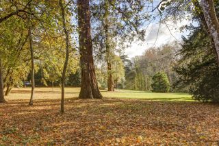 house 12 Rooms for sale on PUYLAURENS (81700)