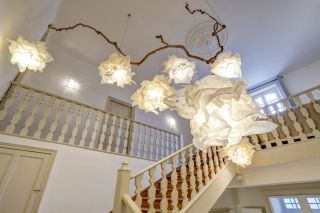 house 12 Rooms for sale on PUYLAURENS (81700)