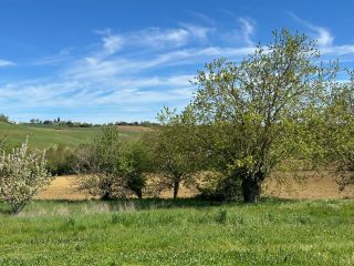 house 10 Rooms for sale on VERFEIL (31590)