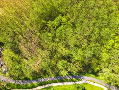 Vente Terrain Buzet-sur-Tarn 2254&nbsp;m²