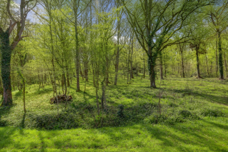 land for sale on BUZET SUR TARN (31660)