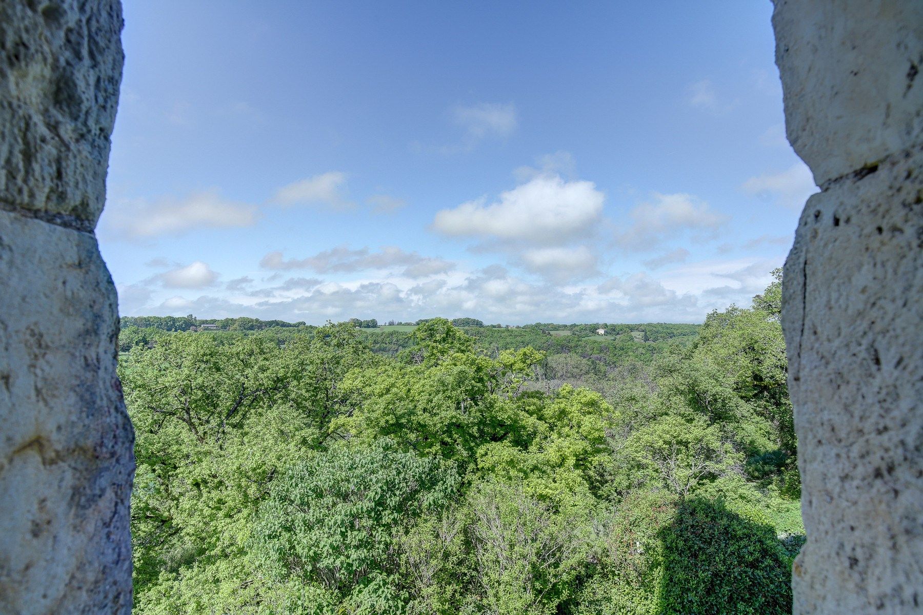 castle 12 Rooms for sale on CORDES SUR CIEL (81170)