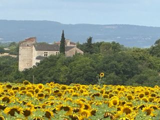 castle 12 Rooms for sale on CORDES SUR CIEL (81170)