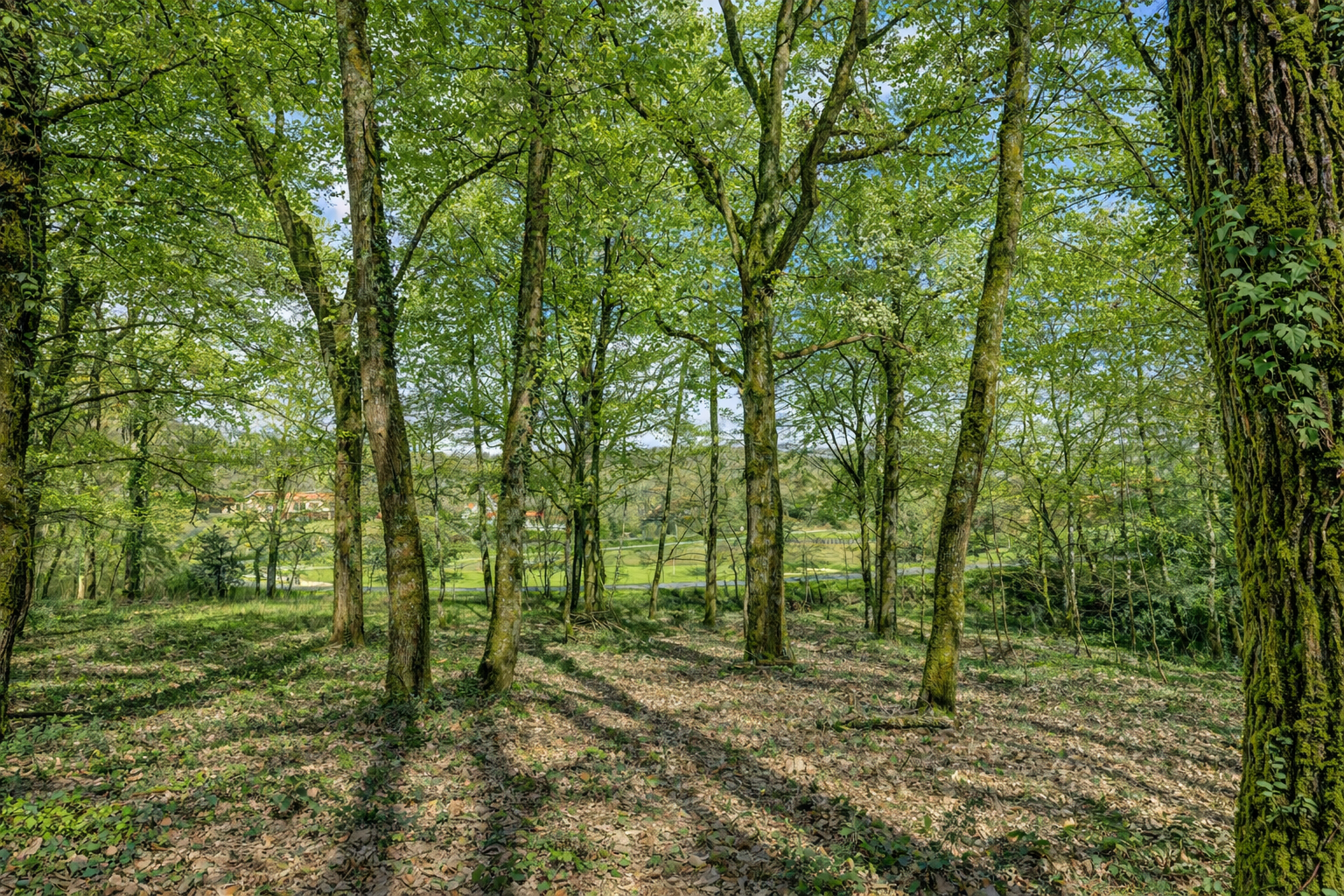 land for sale on BUZET SUR TARN (31660)