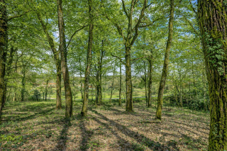 land for sale on BUZET SUR TARN (31660)