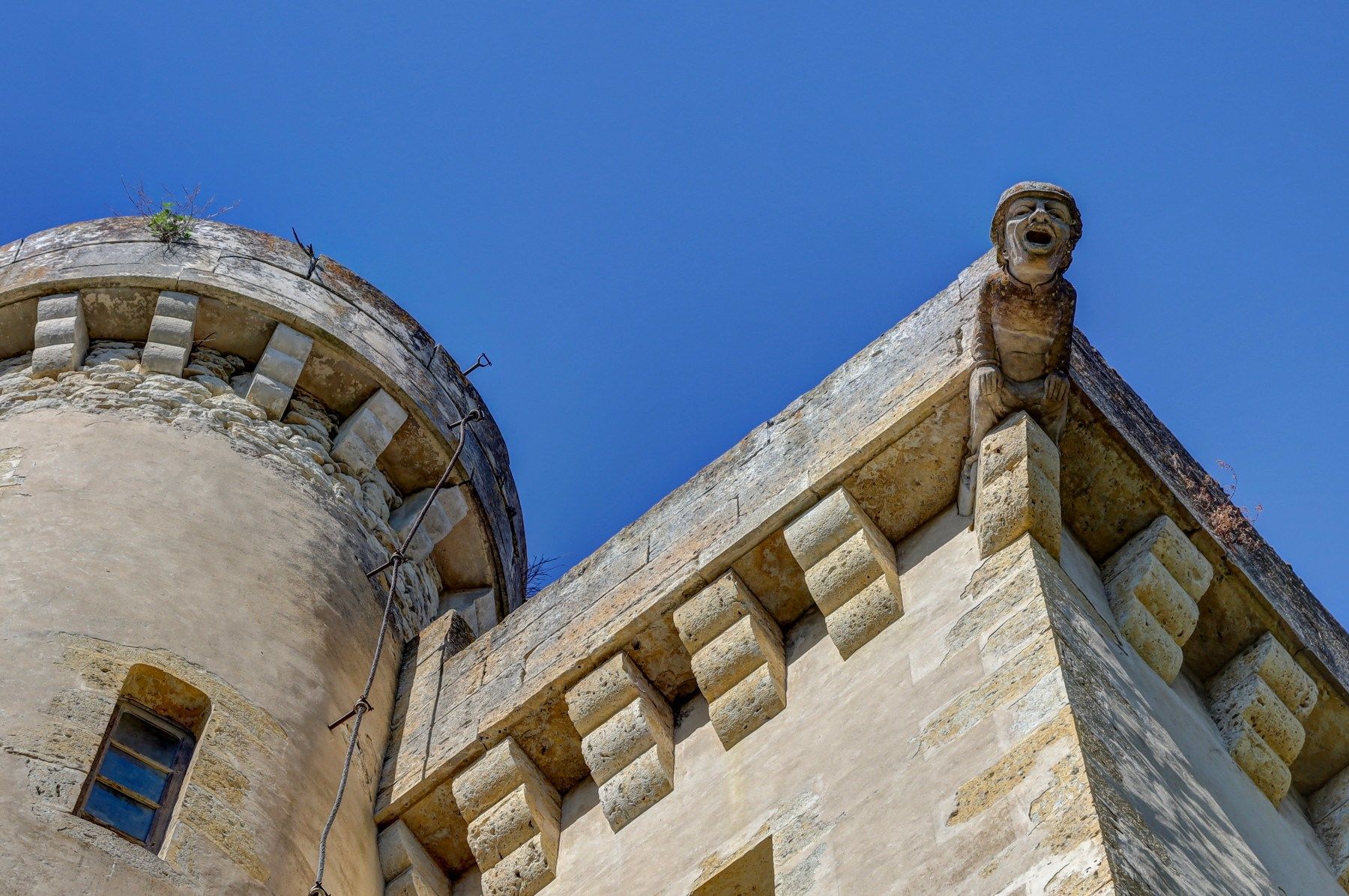 castle 30 Rooms for sale on FLEURANCE (32500)