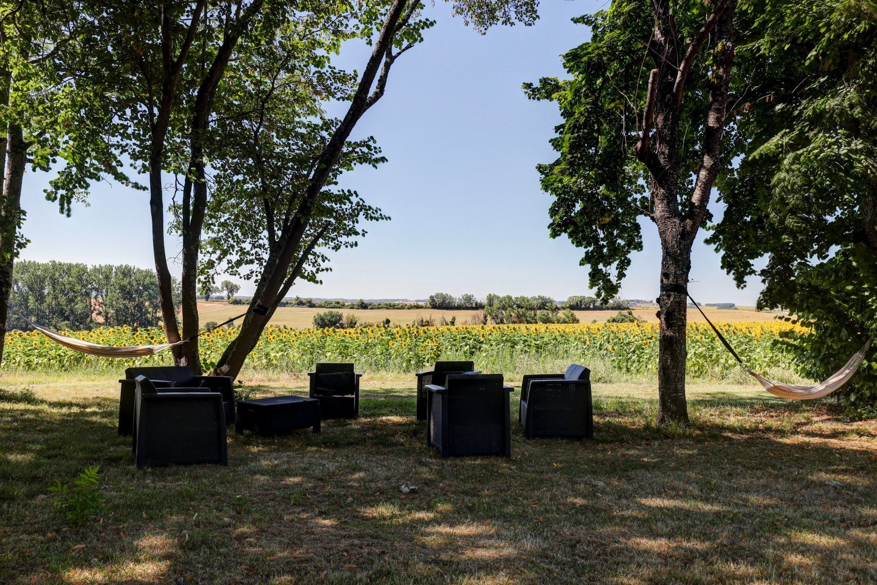 château 30 Pièces en vente sur LECTOURE (32700)