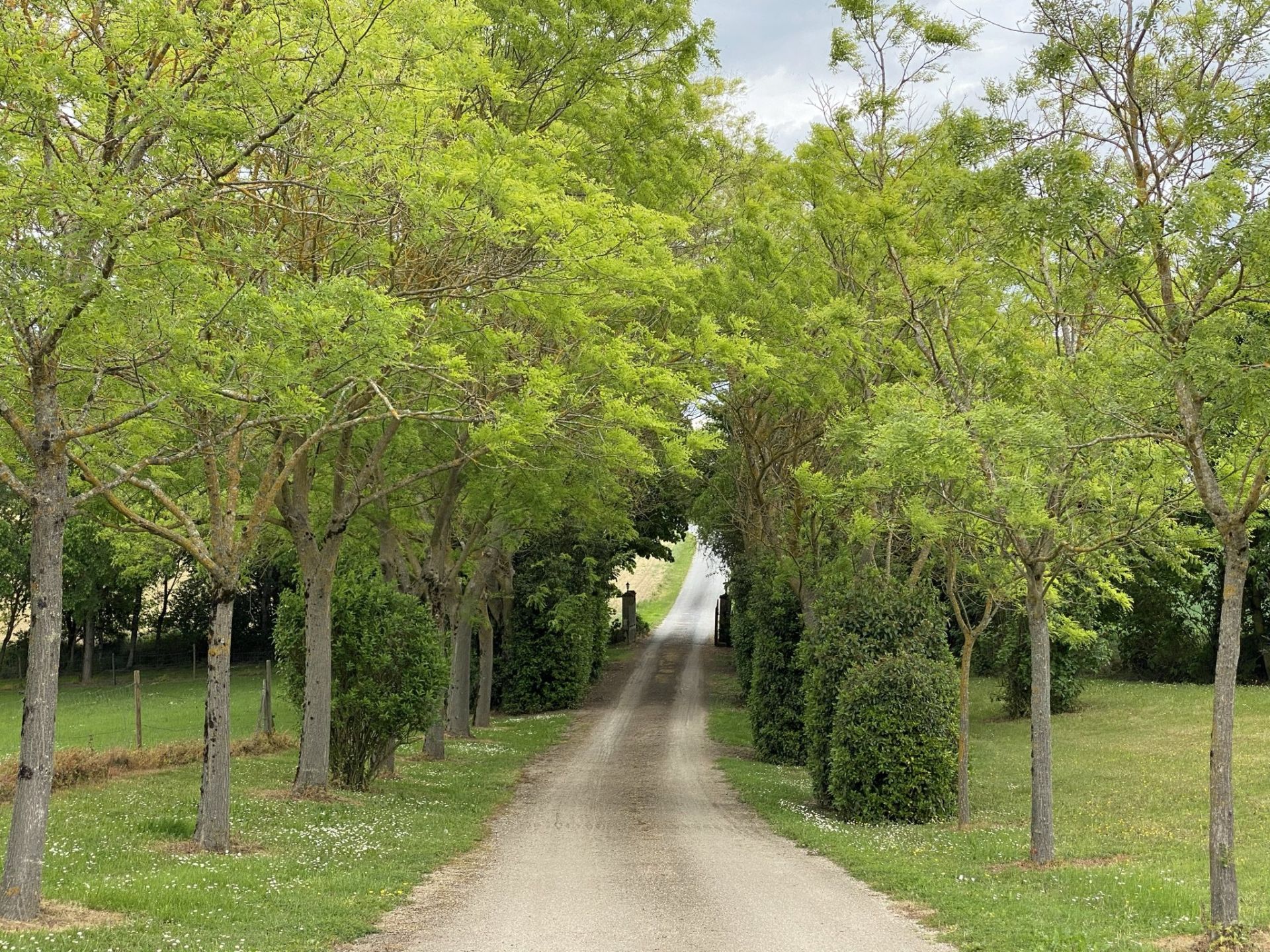 house 30 Rooms for sale on LAVAUR (81500)