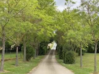 house 30 Rooms for sale on LAVAUR (81500)